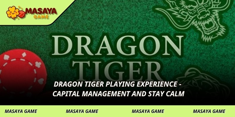 Dragon Tiger Playing Experience - Capital Management and Stay Calm