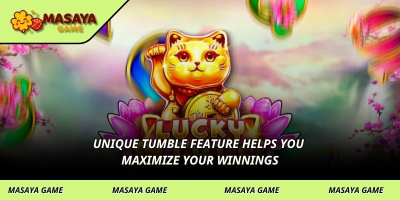 Unique Tumble feature helps you maximize your winnings